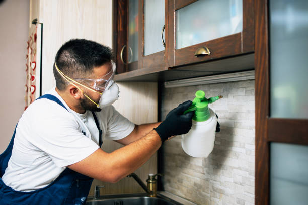 Best Emergency Pest Control  in St George, MO